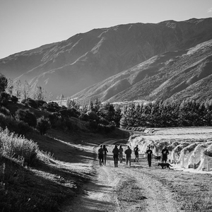 Celebrating Central Otago's World-Class Wines