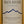 Load image into Gallery viewer, MAIN DIVIDE SAUVIGNON BLANC 2019